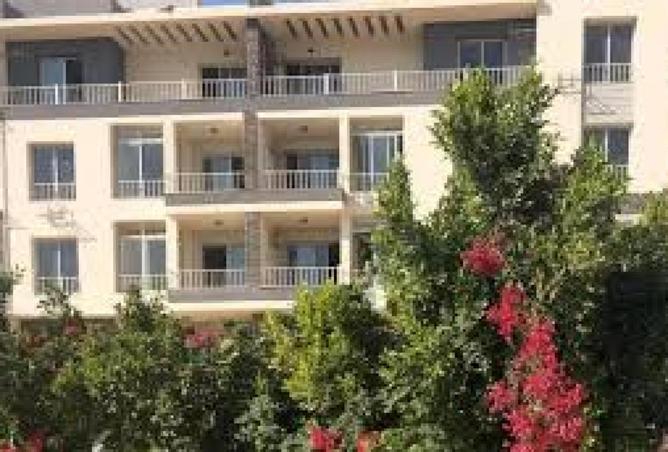 8633448 - Property Image 3