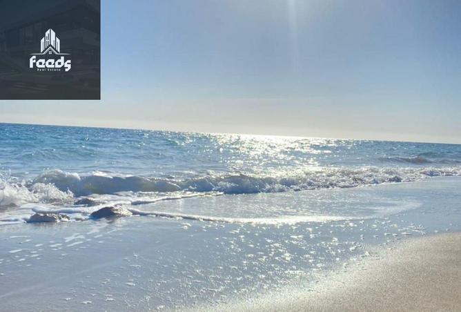 68533493 - صورة العقار 3