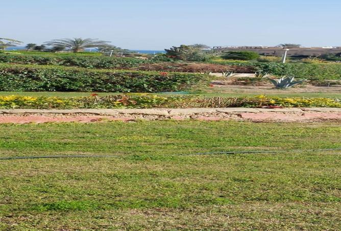 66427427 - صورة العقار 2