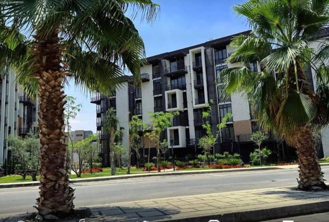 59743439 - Property Image 3