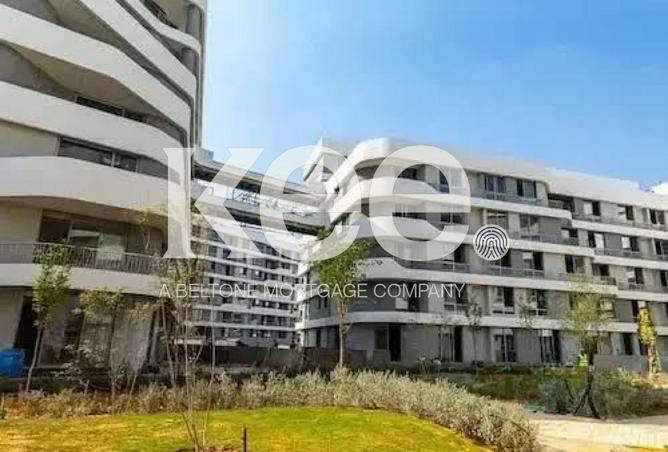 53984491 - Property Image 3