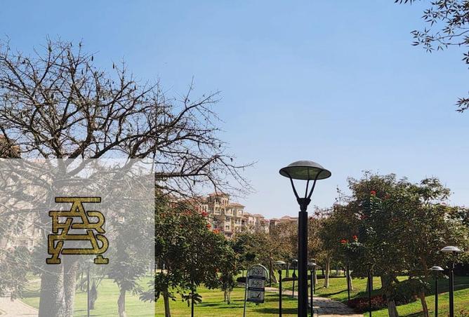 63383250 - Property Image 2