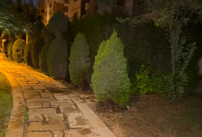 108797217 - الصورة الرئيسية للعقار