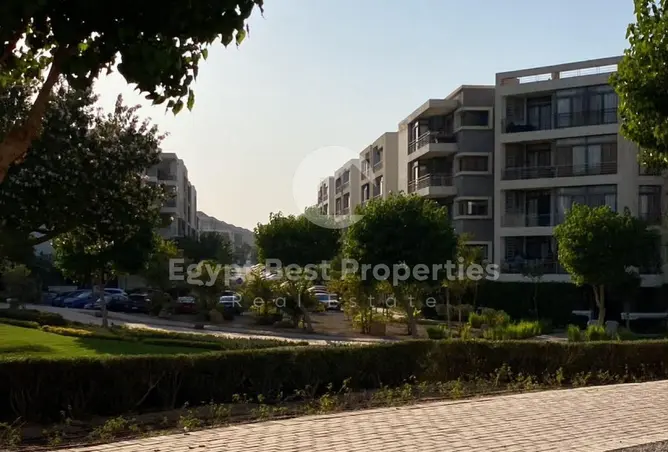 117538164 - Property Image 2