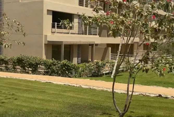 118293935 - صورة العقار 2