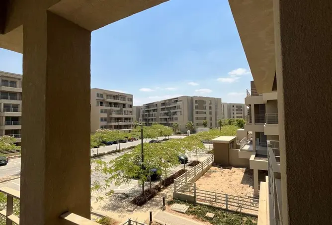 118293935 - صورة العقار 3