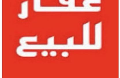 شقة - 7+ - 7+ للبيع في شارع السيد الميرغني - الماظة - مصر الجديدة - القاهرة