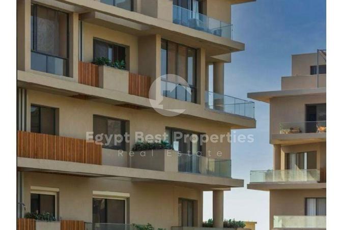 68274367 - Property Image 3