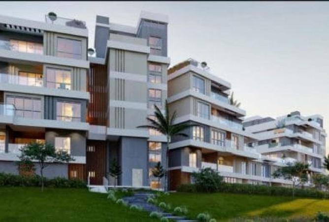 53982573 - Property Image 3