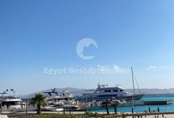 65923362 - صورة العقار 3