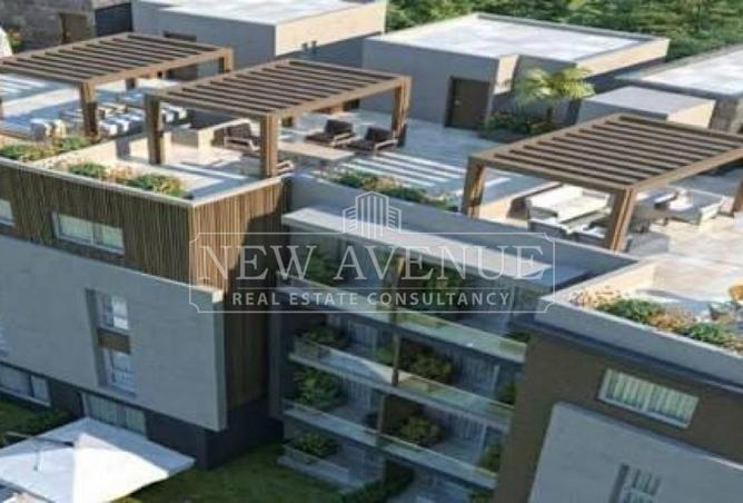 74579655 - Property Image 3