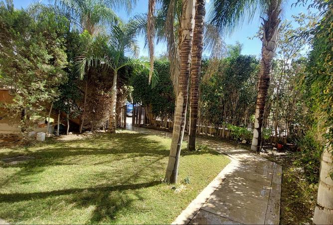 61445899 - صورة العقار 2