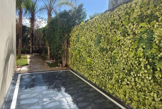 61445899 - صورة العقار 3