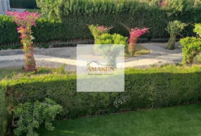 62894941 - صورة العقار 3