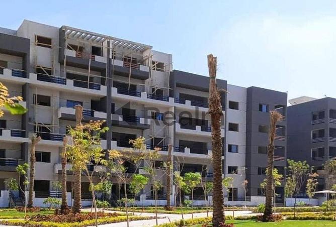 8635647 - Property Image 3