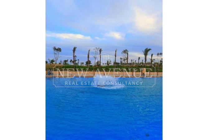 101775786 - Property Image 3