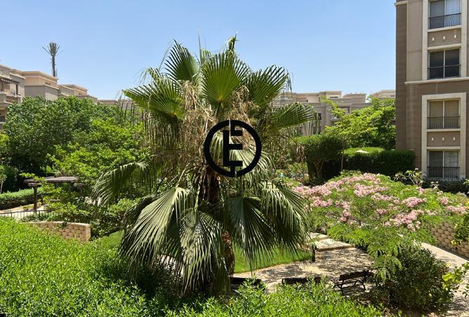 62896448 - صورة العقار 2