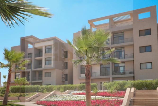 58496951 - Property Image 2