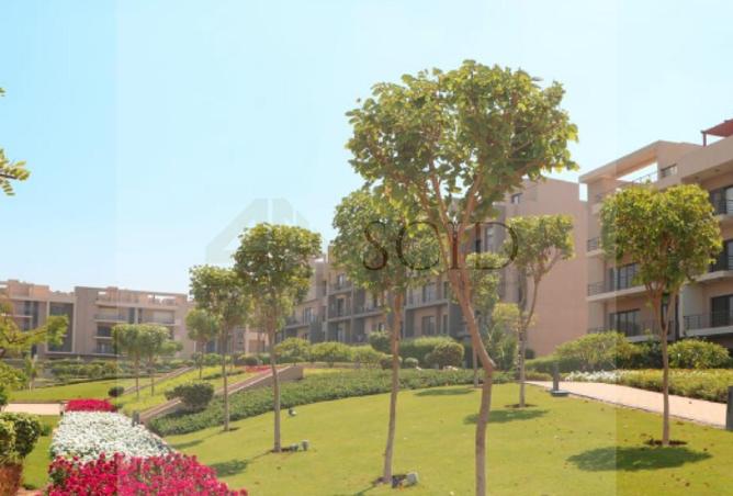 58496951 - Property Image 3