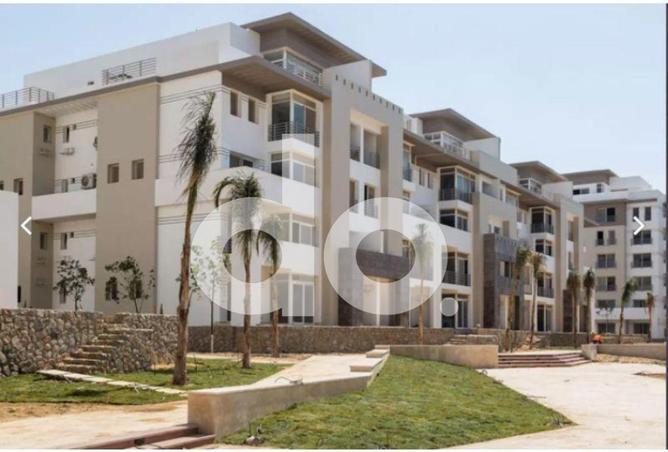 64137978 - Property Image 2