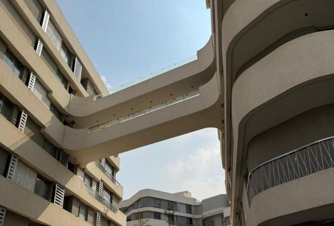 8574775 - صورة العقار 3