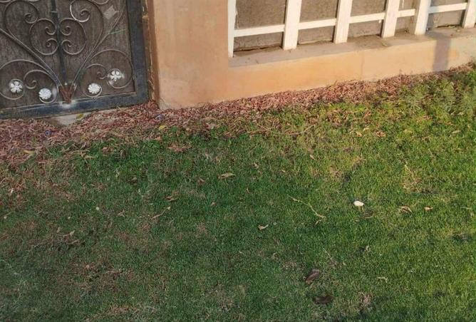 86692099 - صورة العقار 3
