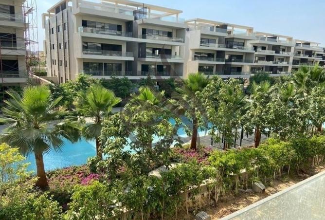 97416265 - صورة العقار 3