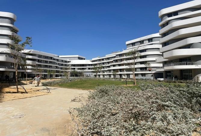 8513819 - صورة العقار 3