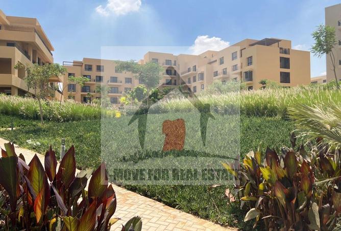 64386727 - صورة العقار 3