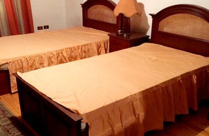 Apartment - 2 - 2 for rent in El Laselky - New Maadi - Hay El Maadi - Cairo
