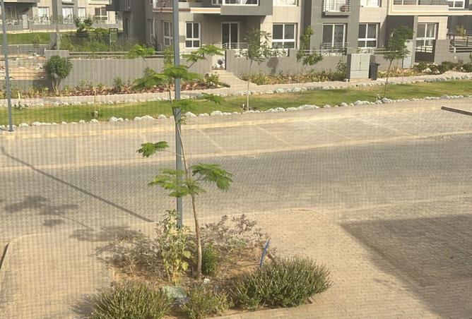 8433142 - Property Image 3