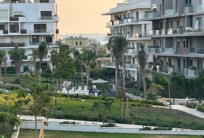 53720459 - Property Image 2