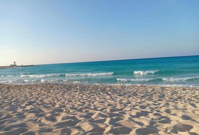 82858925 - صورة العقار 2