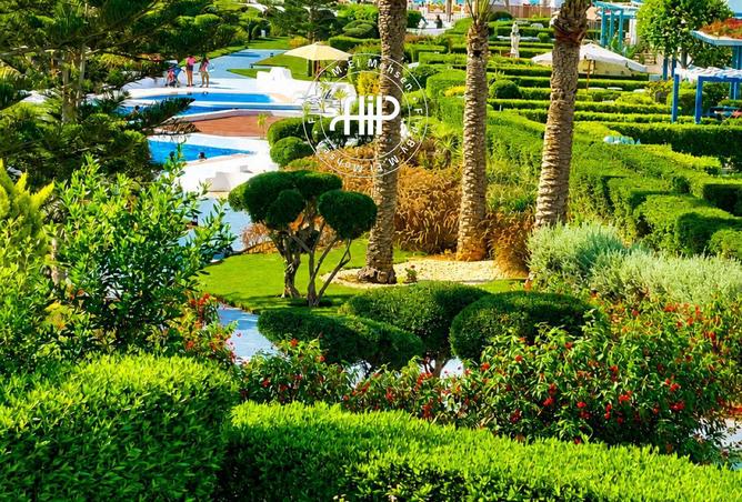 86680670 - صورة العقار 2