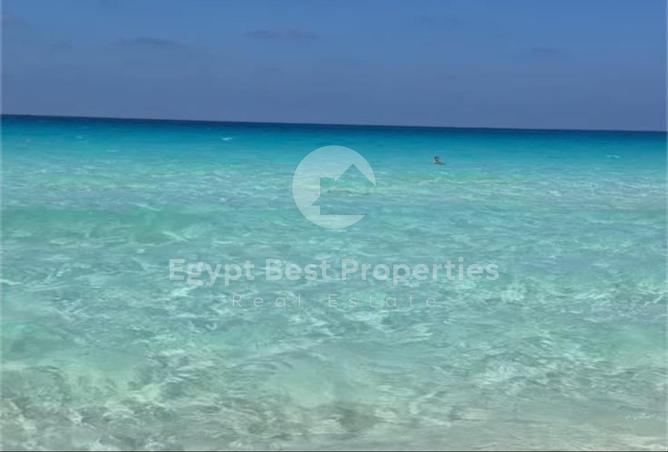 106862182 - Property Image 2