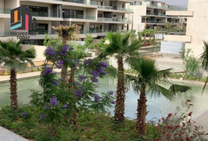 66427287 - Property Image 2