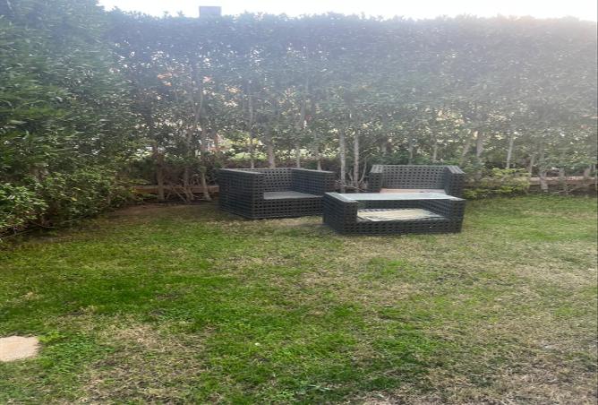 61925133 - Property Image 3