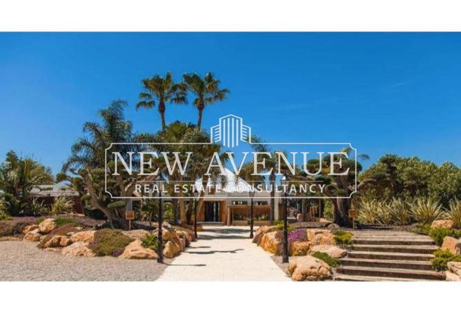 64379606 - Property Image 3