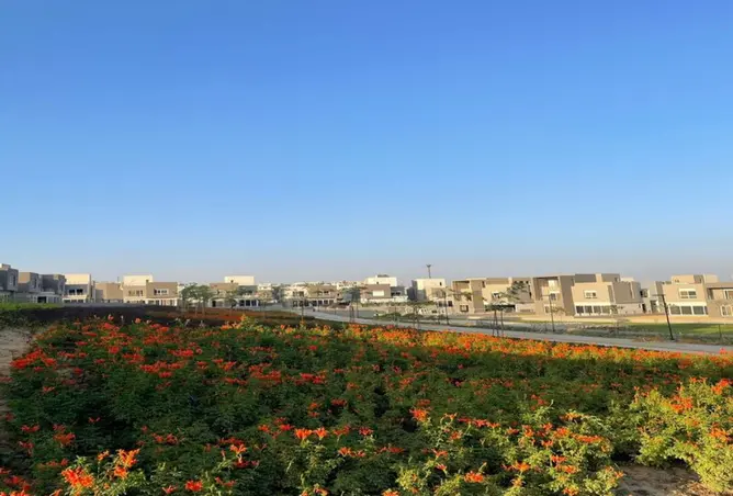111600919 - صورة العقار 3