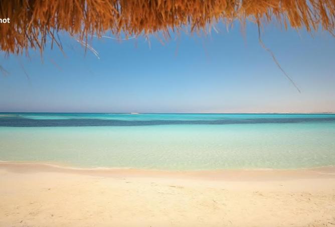 58986455 - صورة العقار 2