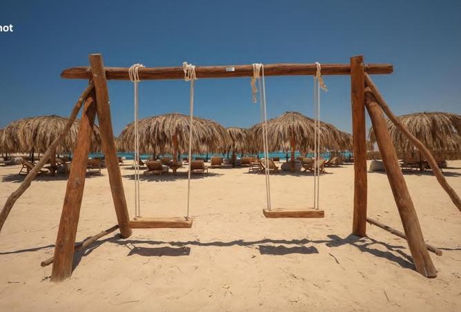 58986455 - صورة العقار 3