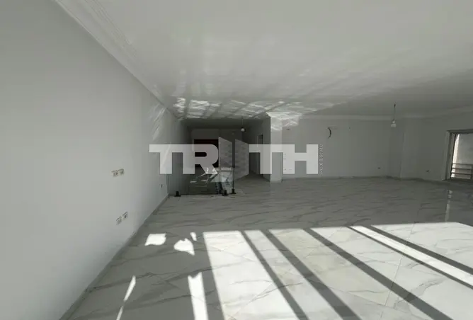 118812315 - Property Image 2