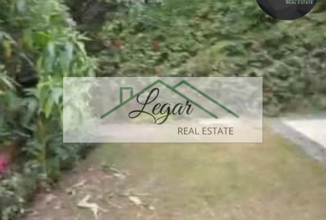 7750986 - صورة العقار 2