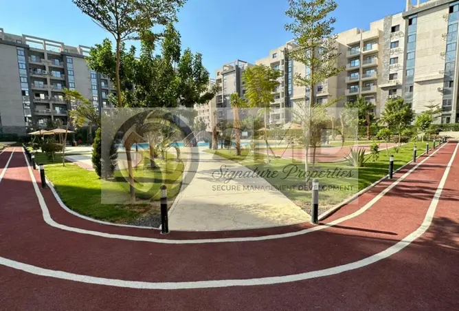 113255650 - Property Image 3
