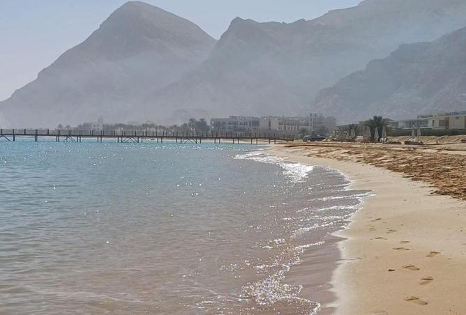 64645567 - صورة العقار 3