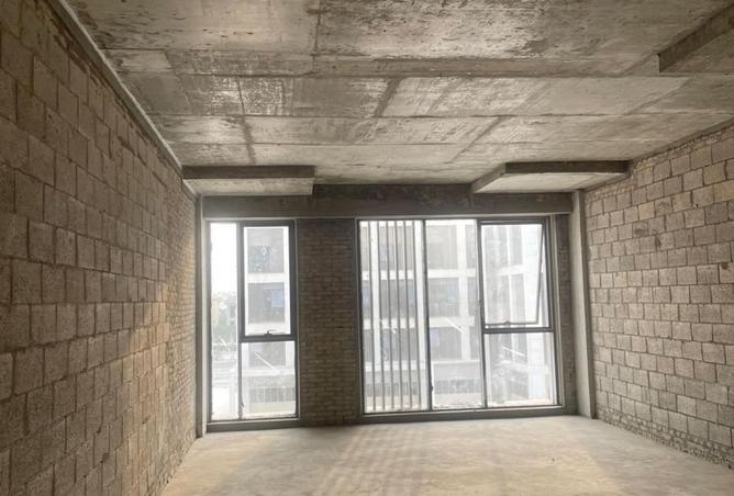 105730393 - Property Image 3