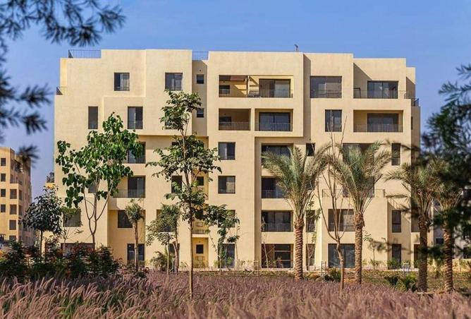 54760231 - Property Image 3