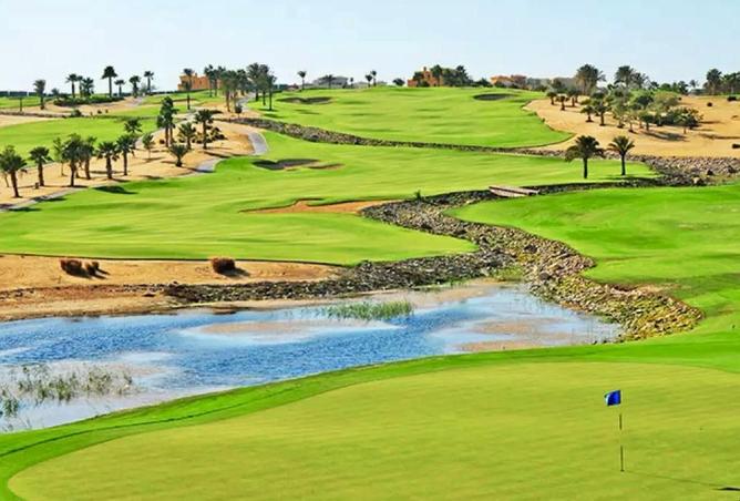 8577104 - صورة العقار 2