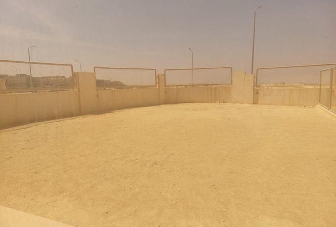103190354 - صورة العقار 3