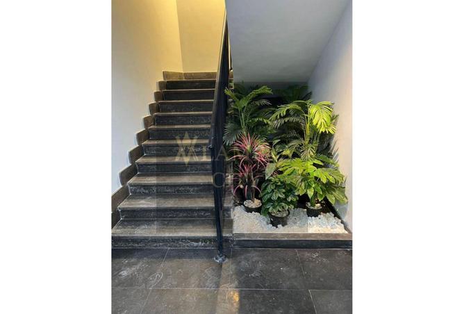 8584206 - صورة العقار 3